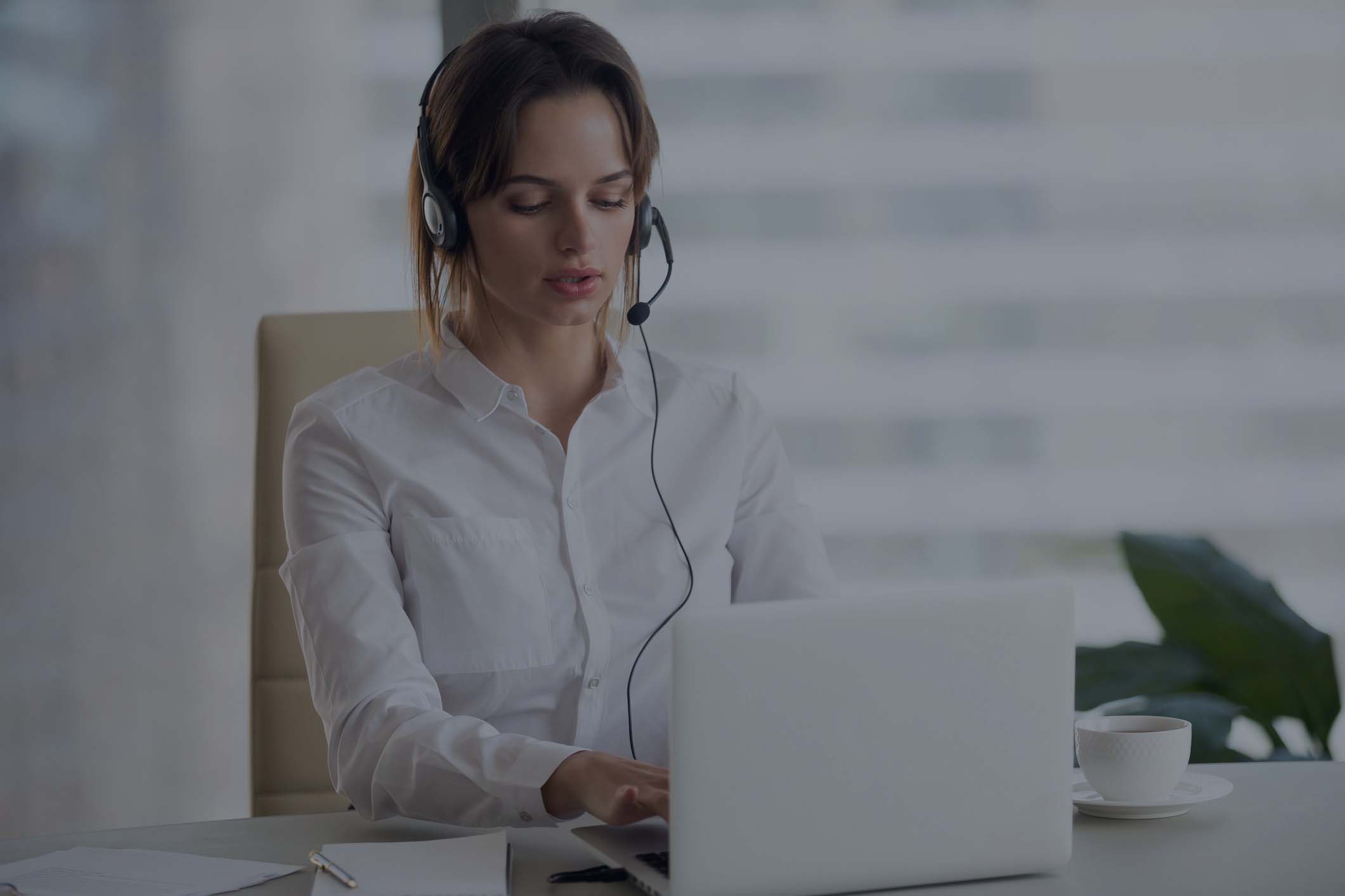 otros servicios lingüisticos